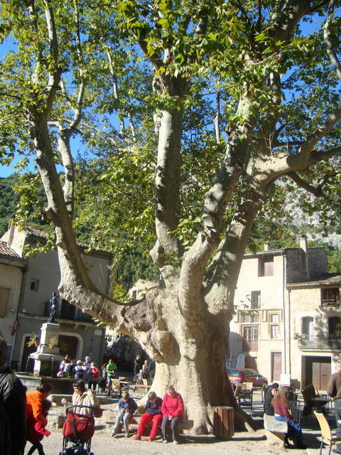 St Guilhem le Désert 073