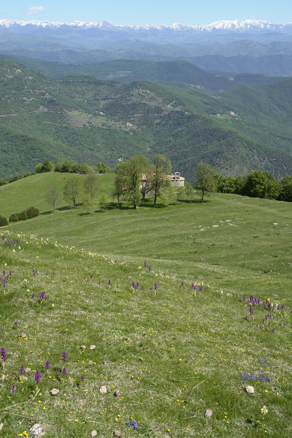 Santa Magdalena del Mont