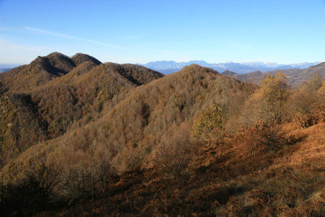 Serra de Curull