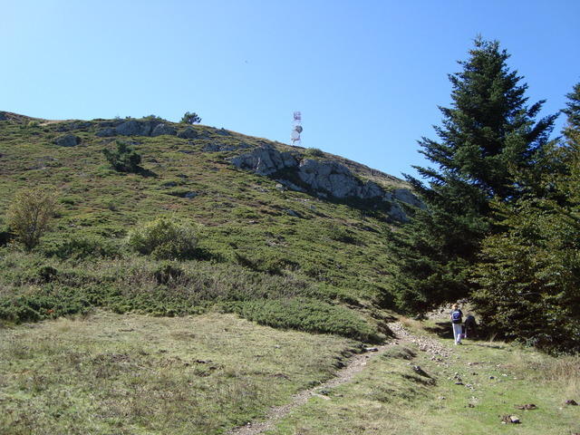 DSC00877.JPG