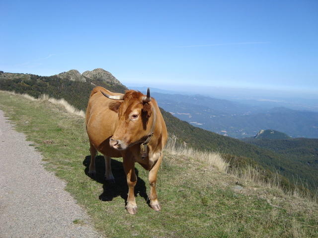 DSC00896.JPG