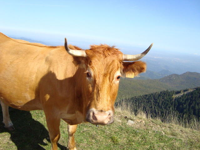 DSC00897.JPG