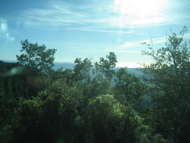 06-10-10 007.jpg