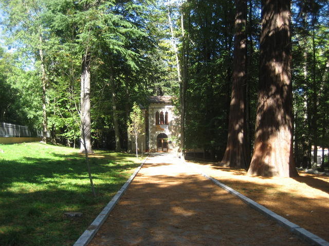 06-10-10 016.jpg