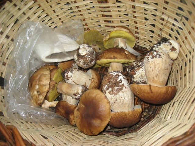 06-10-10 030.jpg