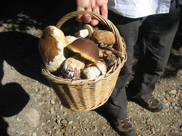 06-10-10 031.jpg