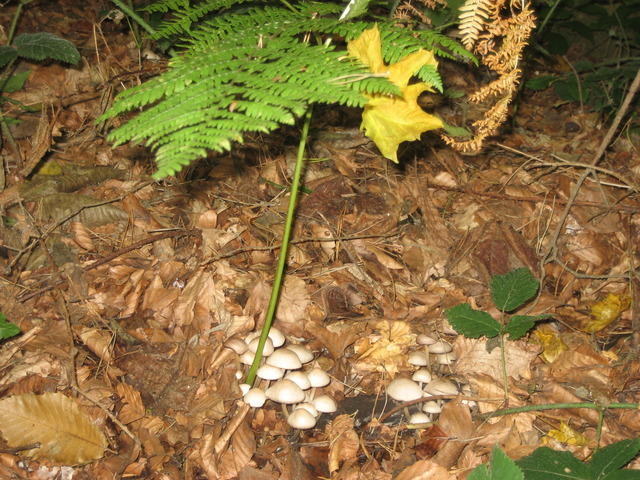 06-10-10 033.jpg
