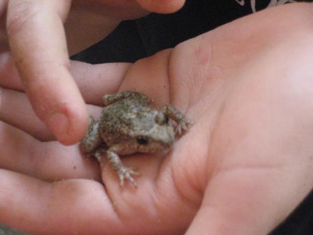 06-10-10 040.jpg