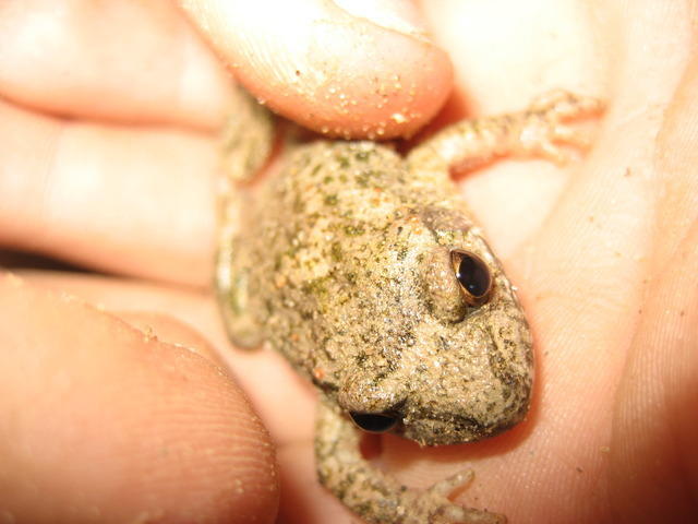 06-10-10 041.jpg