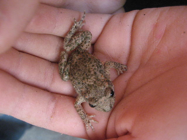 06-10-10 042.jpg