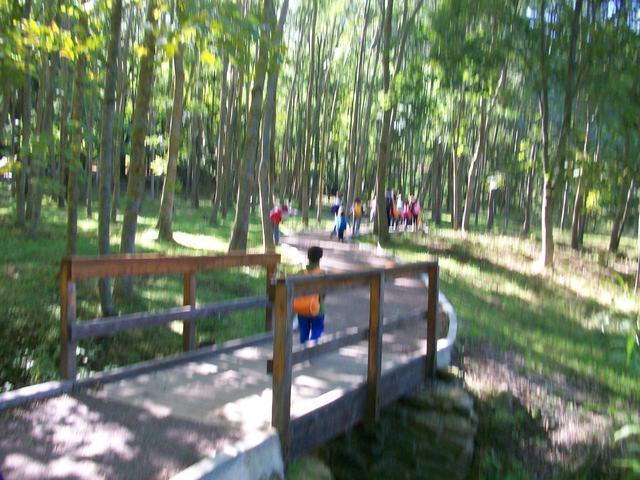 100_5765.jpg