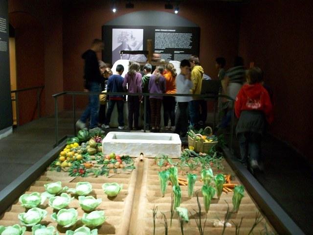 100_5835.jpg