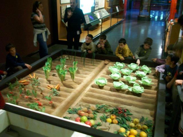 100_5843.jpg