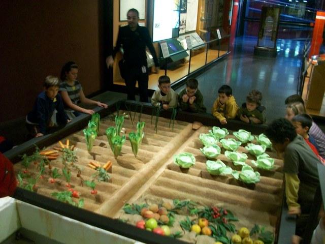 100_5844.jpg
