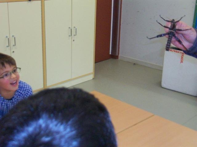 varies 044.jpg