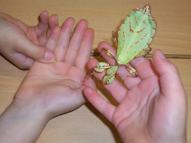 varies 047.jpg