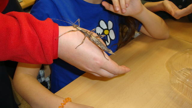 DSC01150.JPG