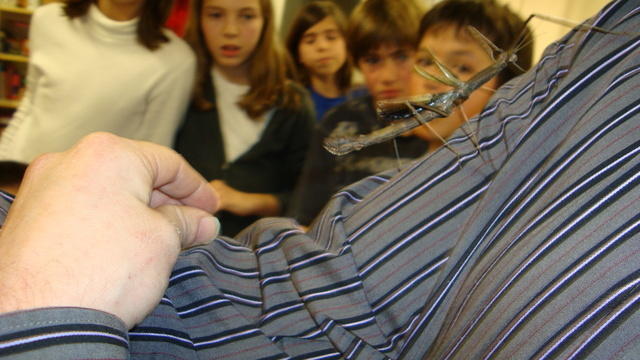 DSC01155.JPG