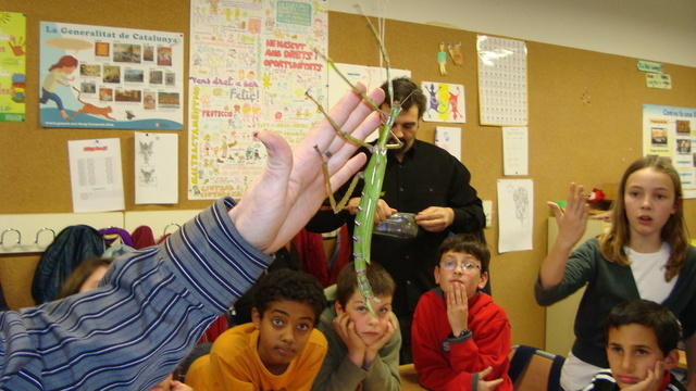 DSC01162.JPG