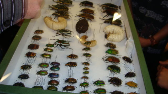 DSC01168.JPG