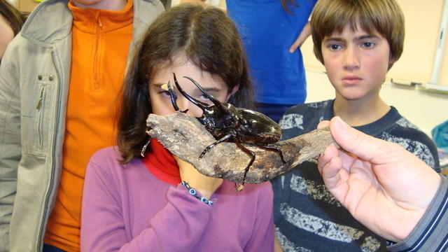 DSC01174.JPG