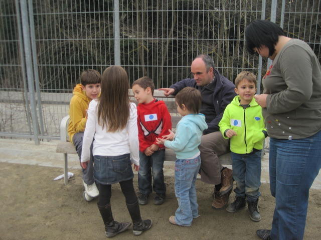 alzinar i handbol 02-11 016.JPG