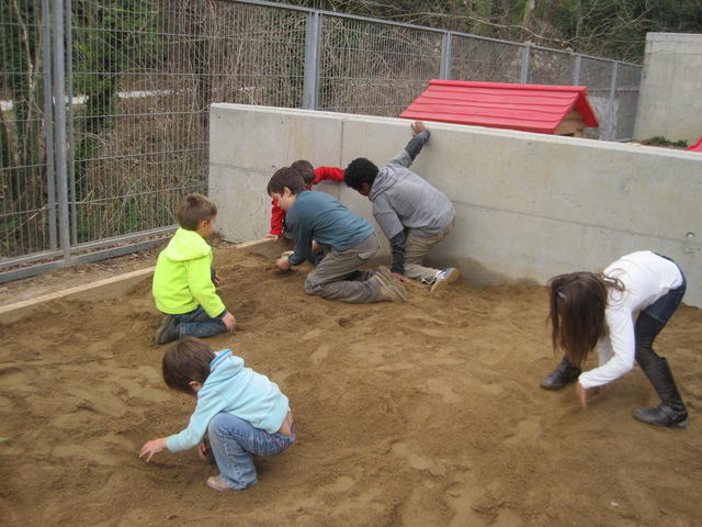 alzinar i handbol 02-11 048.JPG