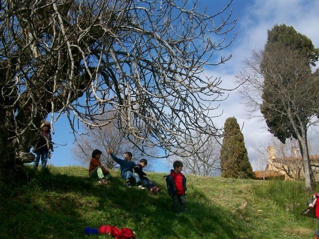 Carnestoltes 073.jpg