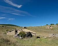 DSCF4130