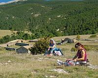 DSCF4142