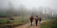 Collsuspina (060216)