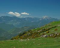 DSCF2374