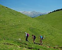DSCF2478