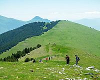 DSCF2498