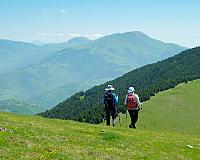 DSCF2547