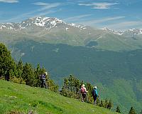 DSCF2554