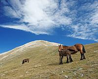 Pic de l'Infern (060925)
