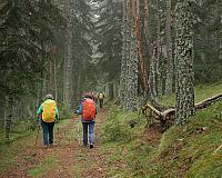 DSCF0435fb