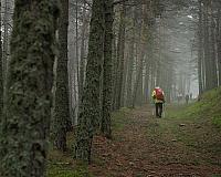 DSCF0452fb