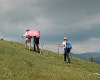 Serra Cavallera (300626)