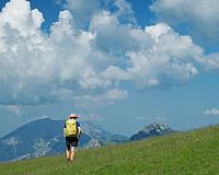 Tosa d'Alp (260625)