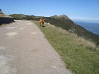 DSC00894.JPG