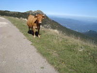 DSC00895.JPG