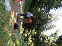 DSC00899.JPG