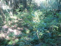 06-10-10 025.jpg