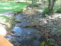06-10-10 026.jpg