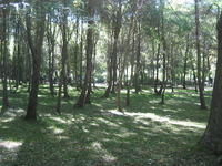 06-10-10 027.jpg