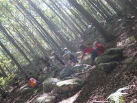 06-10-10 037.jpg
