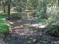 06-10-2010 Sortida a Santa Fe 007.jpg