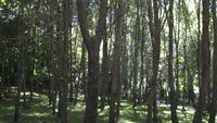 06-10-2010 Sortida a Santa Fe 008.jpg